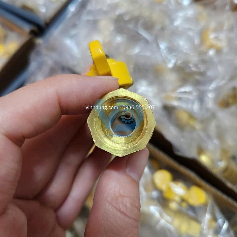 DN10 (5)